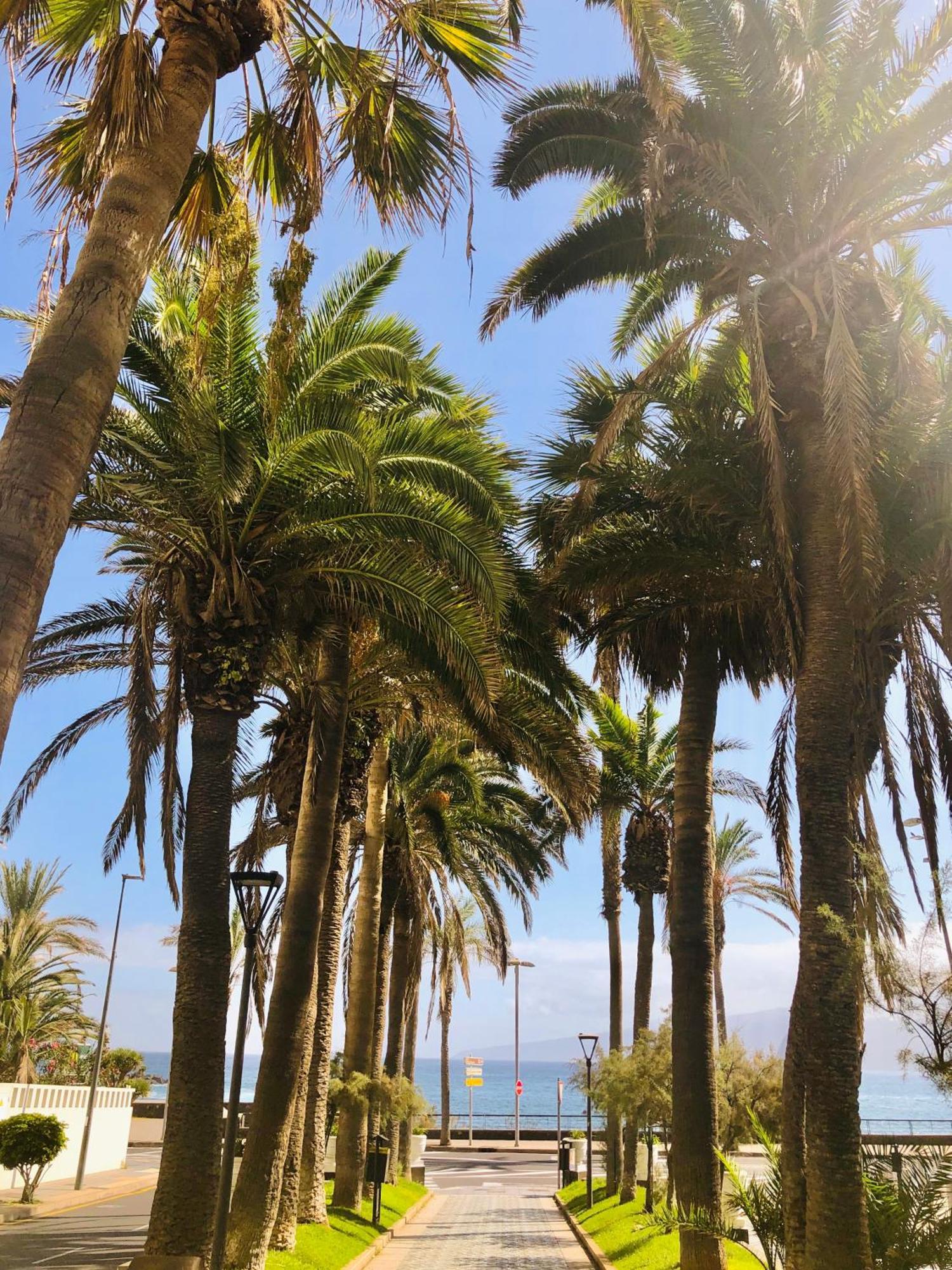 Estudio Tinerfe Puerto de la Cruz  Luaran gambar